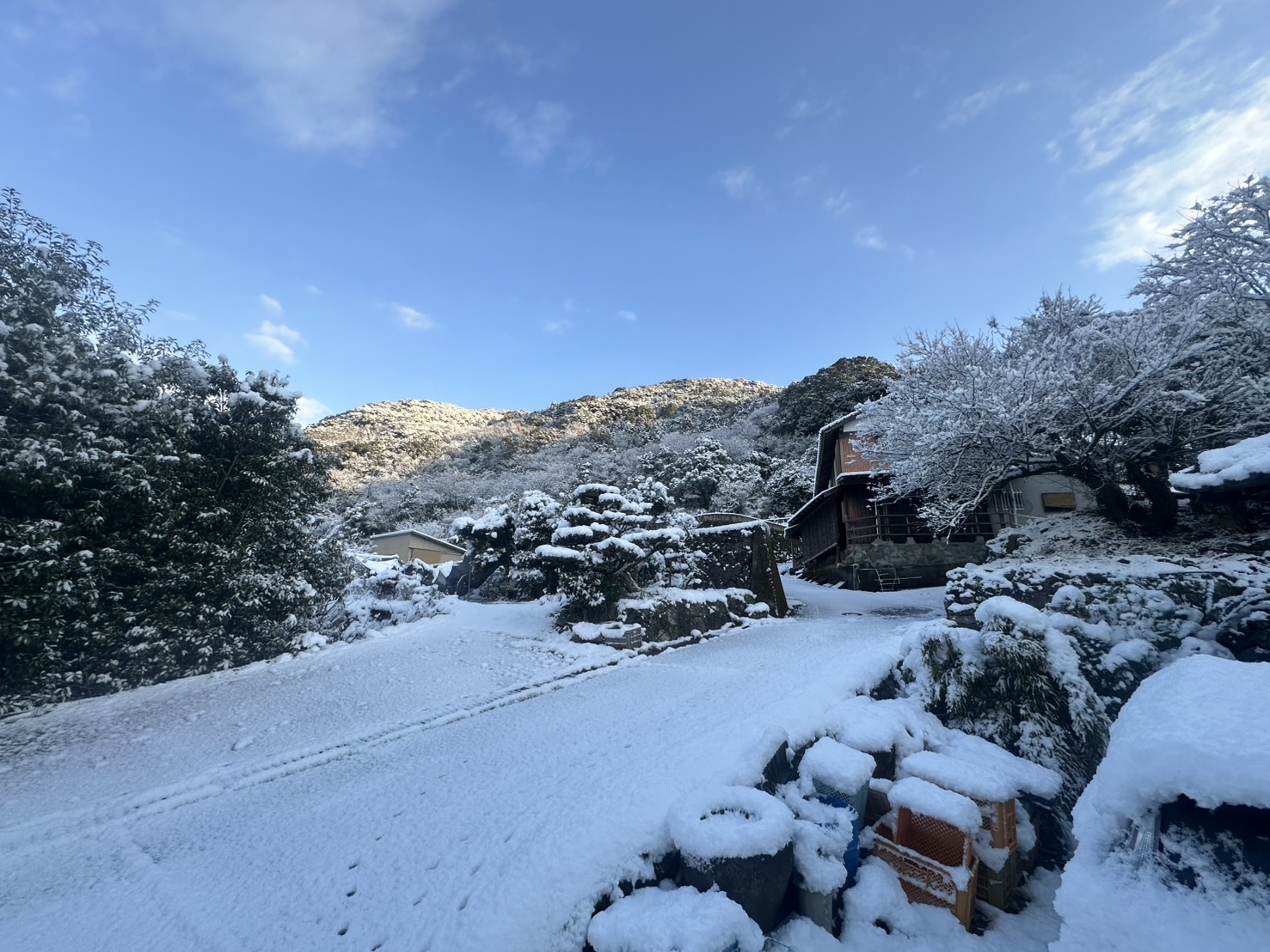 長崎に雪が降りました!