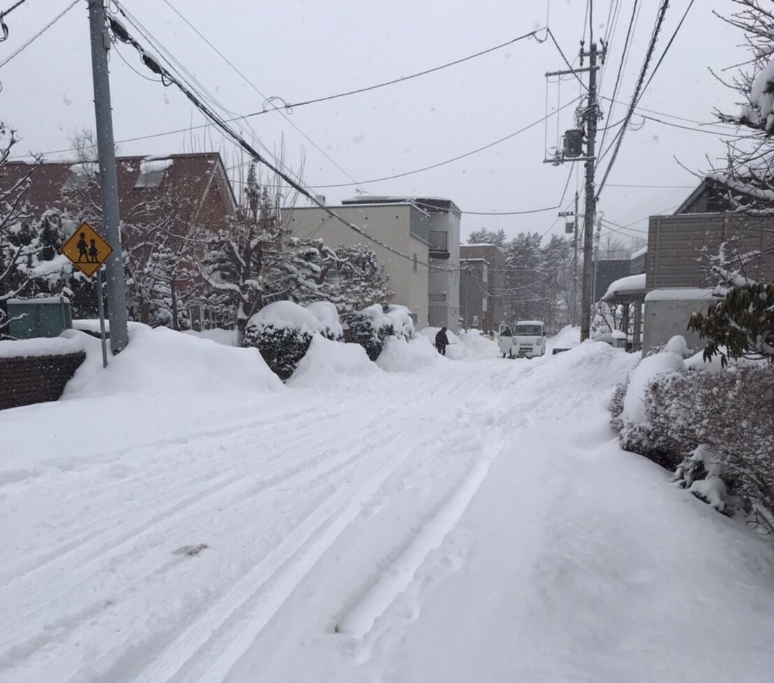 冬季の北海道と雪